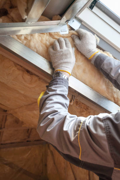 Best Commercial Insulation in Thatcher, AZ